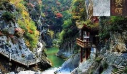 吃瓜成县网红,揭秘网红背后的故事